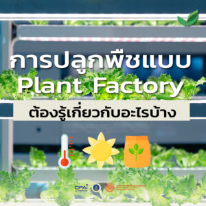 Plant Factory